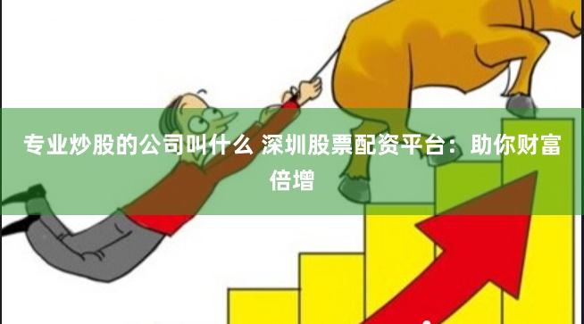 專業炒股的公司叫什么 深圳股票配資平臺：助你財富倍增